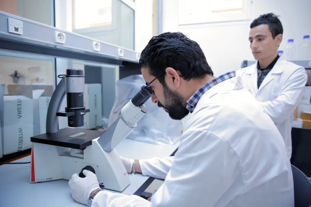 Lancement officiel de l’appel à candidature UM6P/CEDoc au titre de l’année universitaire 2020-2021